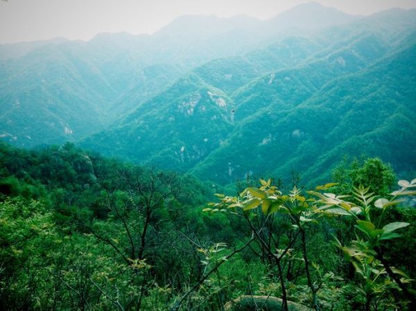 湖(hú)南严控采砂场使用(yòng)林地审批 使用(yòng)结束后一年内需复绿